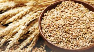 محصولات کشاورزی